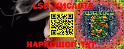 спайс Будённовск